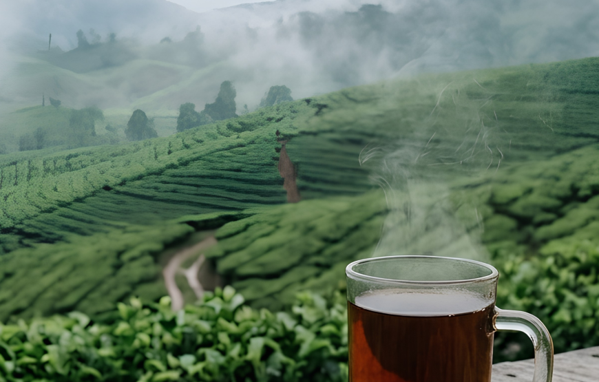 Bandung White Crater and Highland Tour