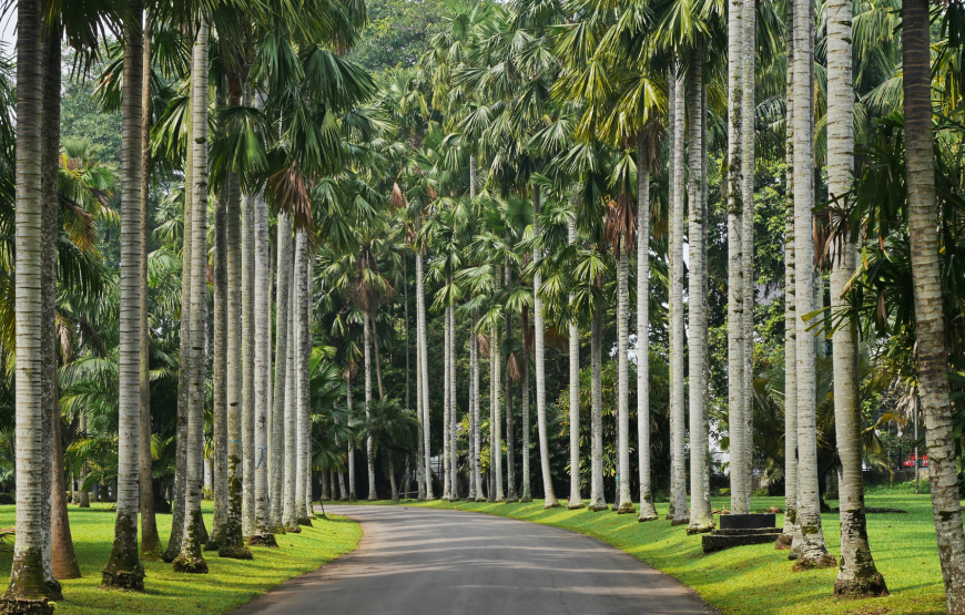 Bogor Nature & Culture Tour