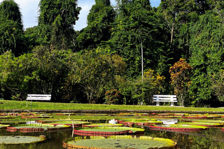 Jakarta City Tour - Open Trip - Paket Wisata Hemat