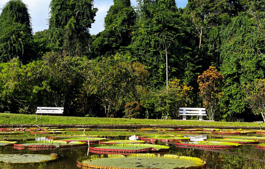 Bogor Nature & Culture Tour